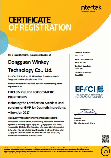 EFfCI_EN-2022.webp
