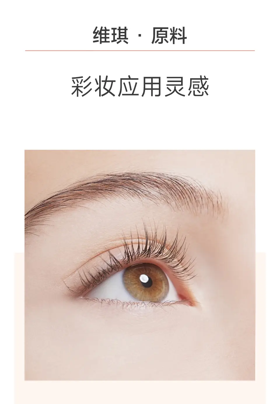 多肽彩妆应用_04.webp