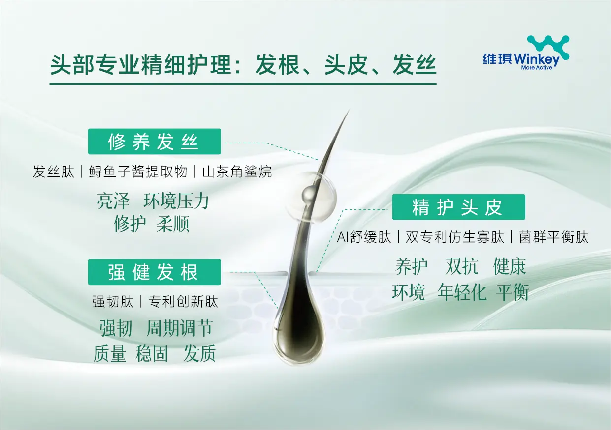 多肽护肤-A5展牌-12.webp