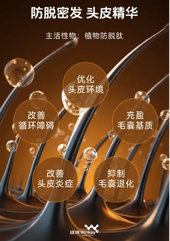 维琪-防脱密发方案.webp