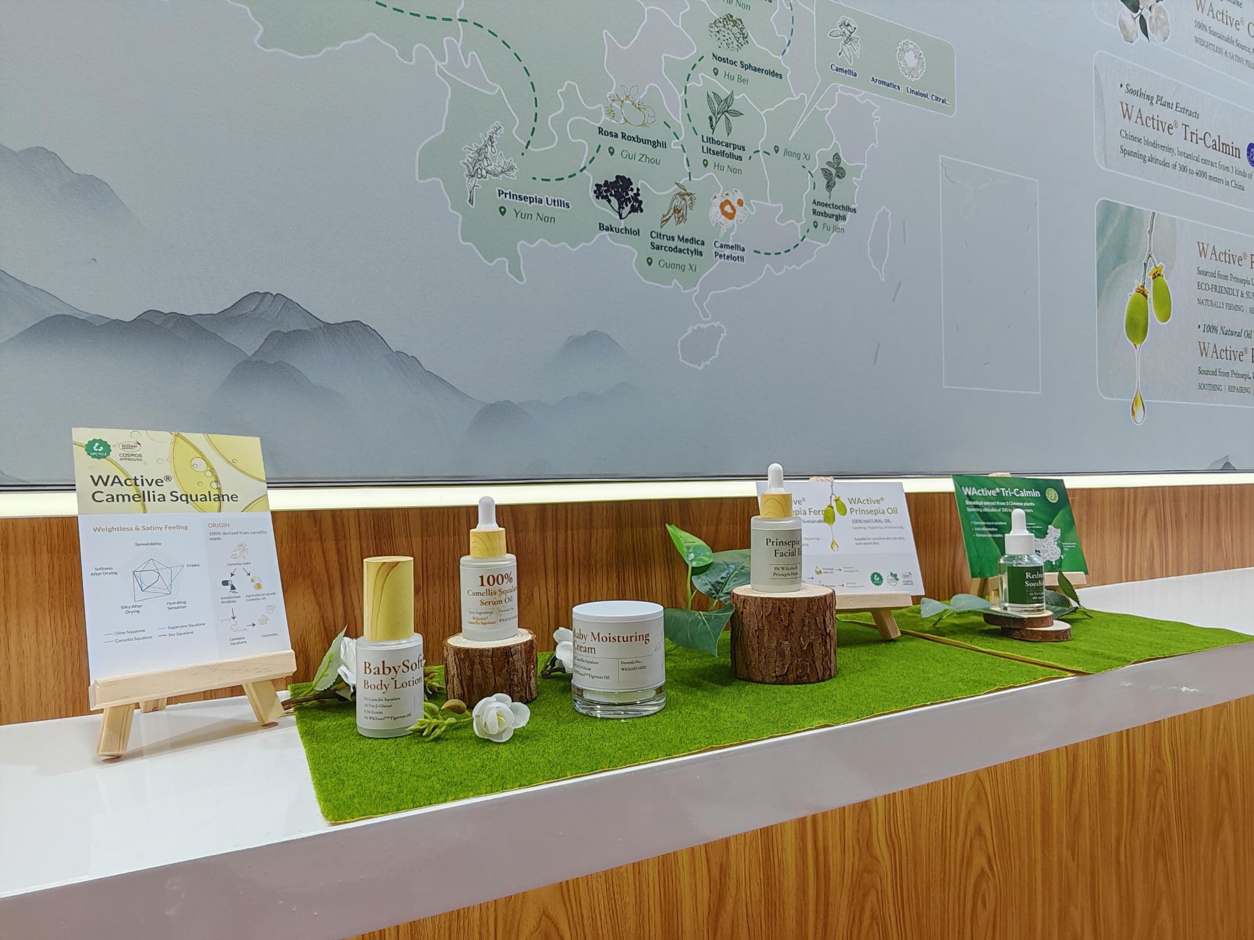 欧展图片 (19).jpg