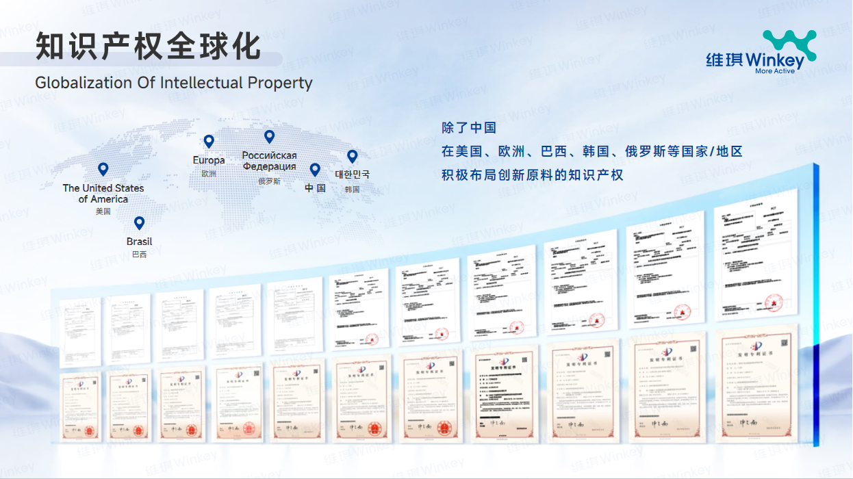 知识产权全球化.png