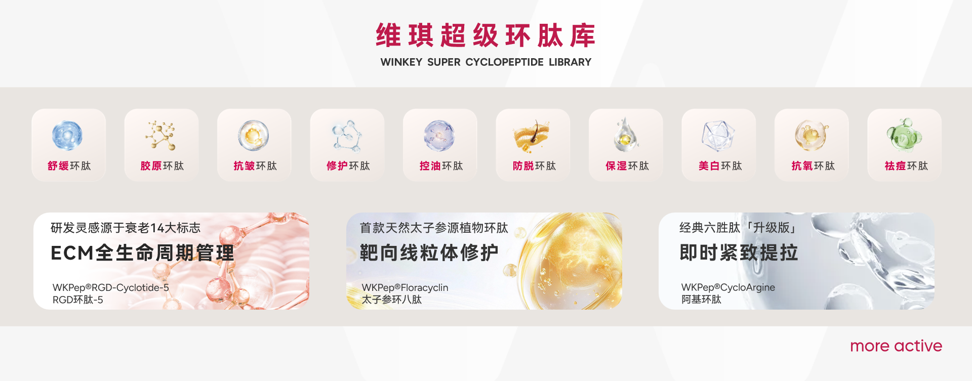 官网推文配图.png 官网推文配图.png