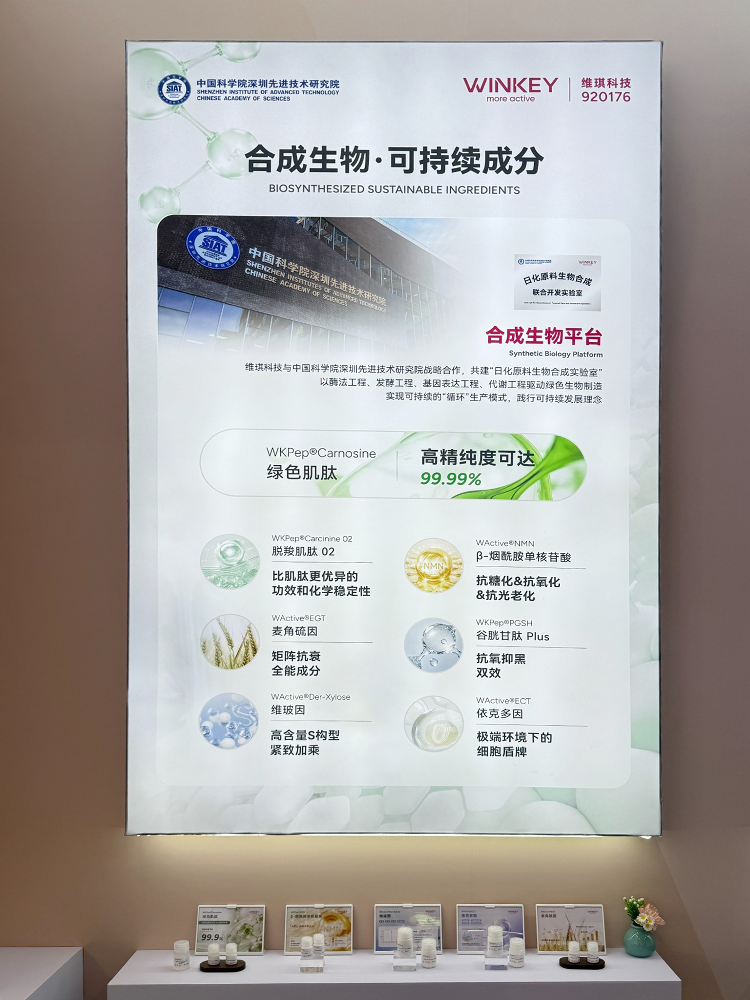 CAME展_16_新闻发布优化.jpg